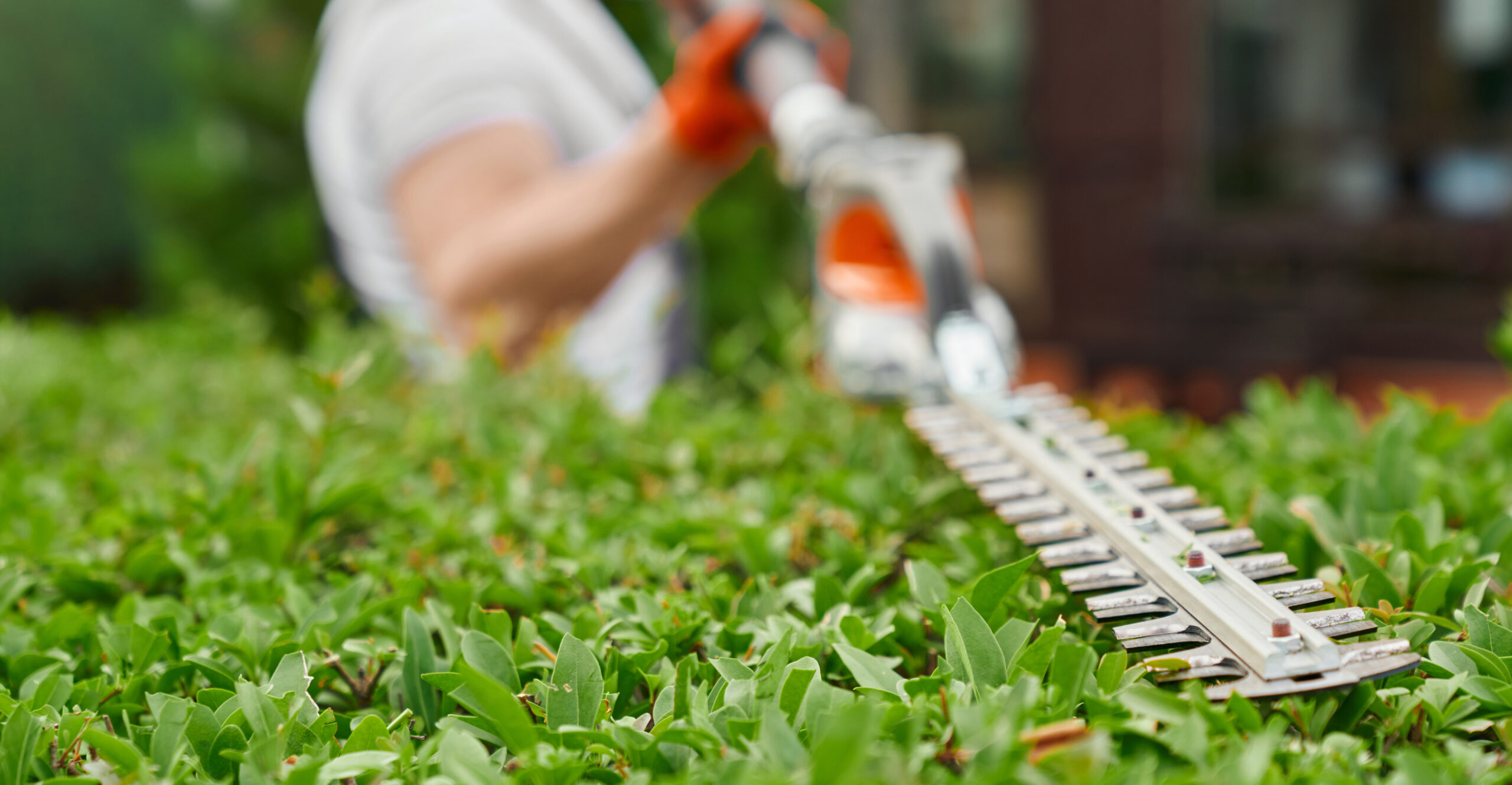 Paysagiste utilisant une débroussailleuse pour couper de l’herbe dans un espace vert.