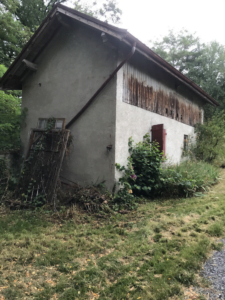 Maison ancienne avant rénovation à Thonon avec façade dégradée et végétation envahissante.
