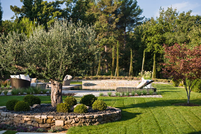 Aménagement de jardin à Evian avec oliviers et massifs modernes
