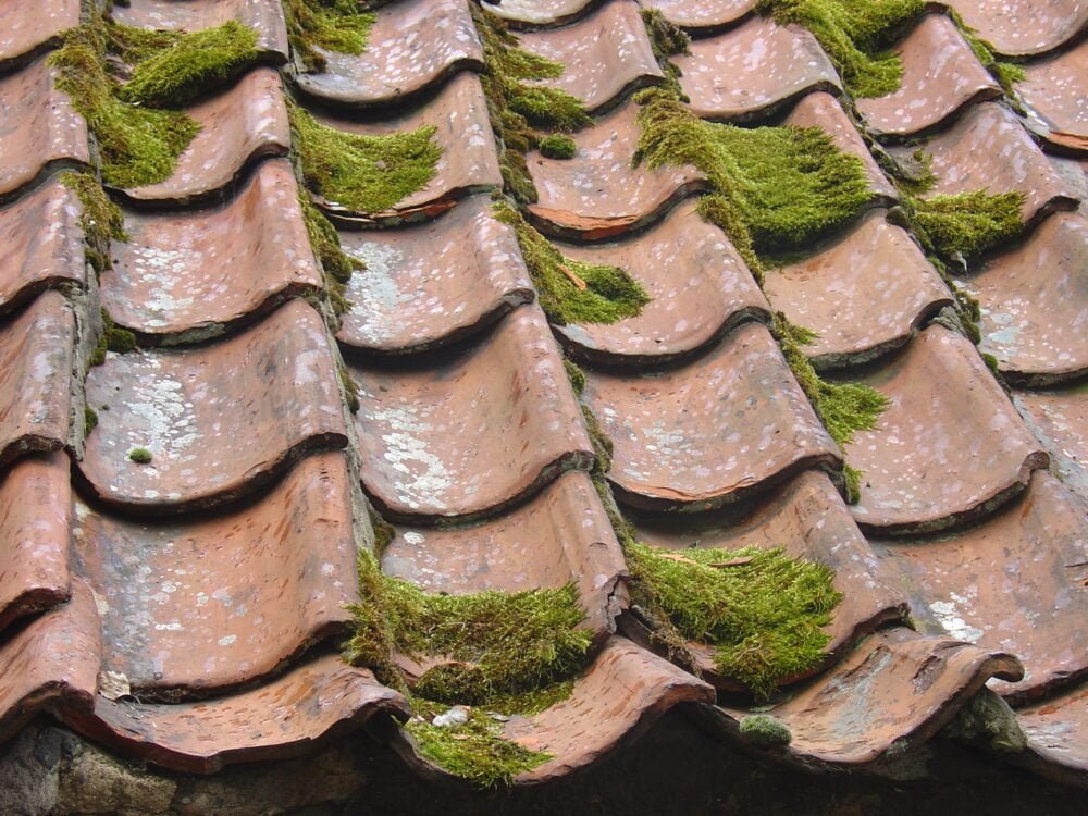 Ancienne toiture avec tuiles abîmées et recouvertes de mousse, nécessitant une rénovation énergétique.