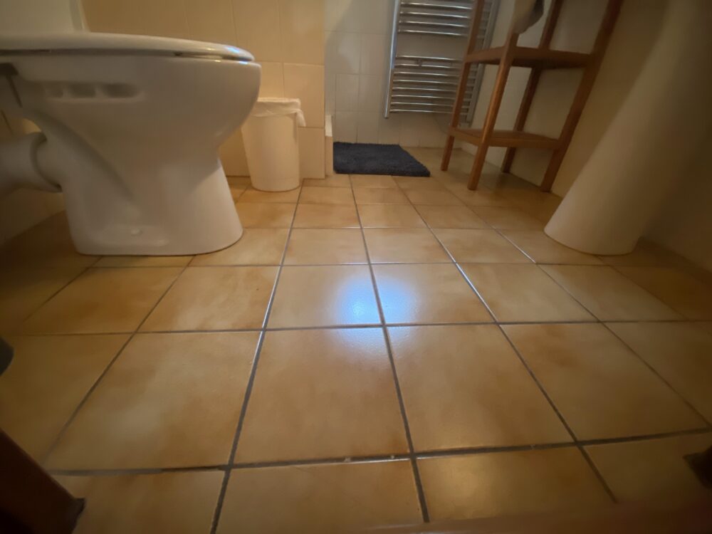 Carrelage beige ancien dans une salle de bain avant rénovation à Châtel