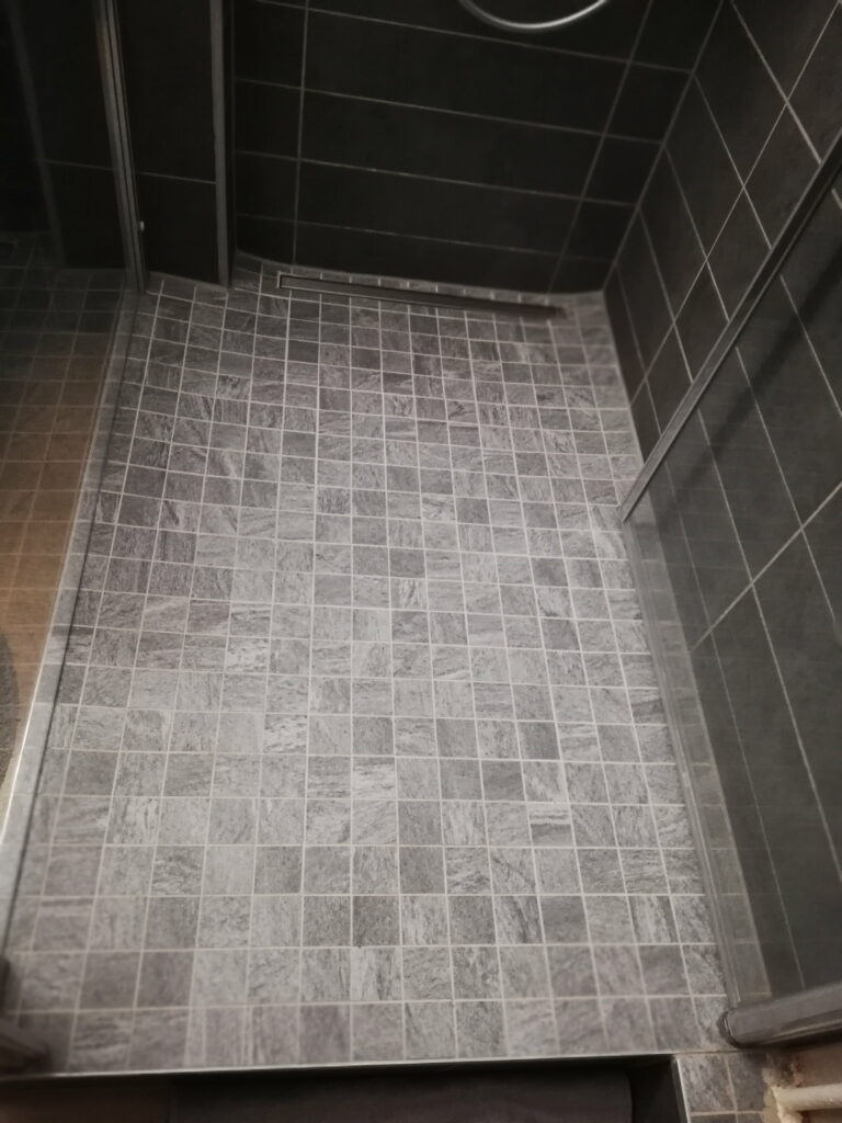 Détails de l'installation des WC à Annemasse