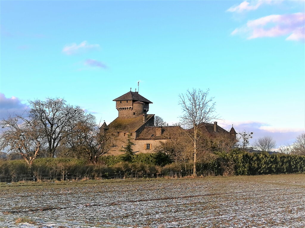 Rénovation de la toiture du Château Saint Michel à Brenthonne