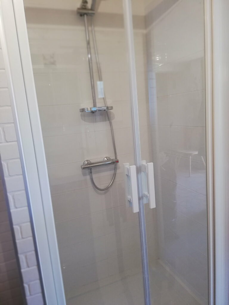 WC suspendu dans la salle de bains à Bons-en-Chablais
