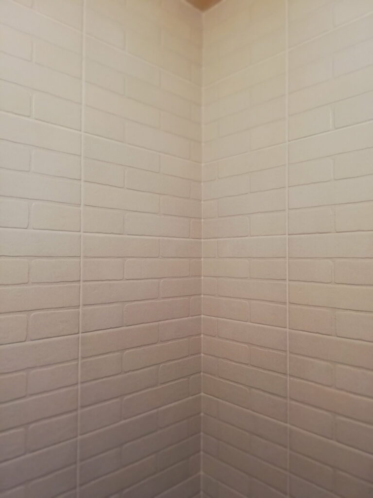 Détails du carrelage dans la salle de bains à Bons-en-Chablais