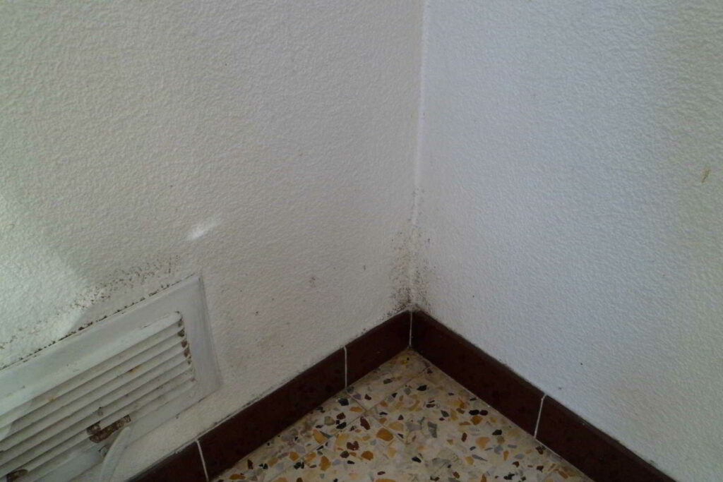 Peinture des murs dans un appartement à Bons-en-Chablais