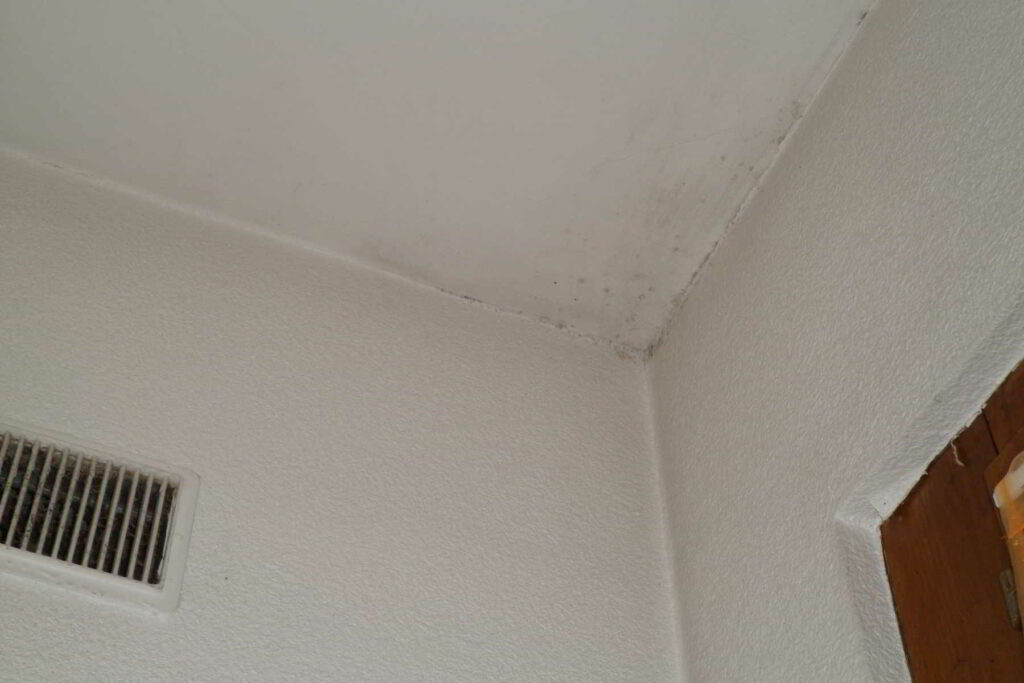 Peinture du plafond d'un appartement à Bons-en-Chablais